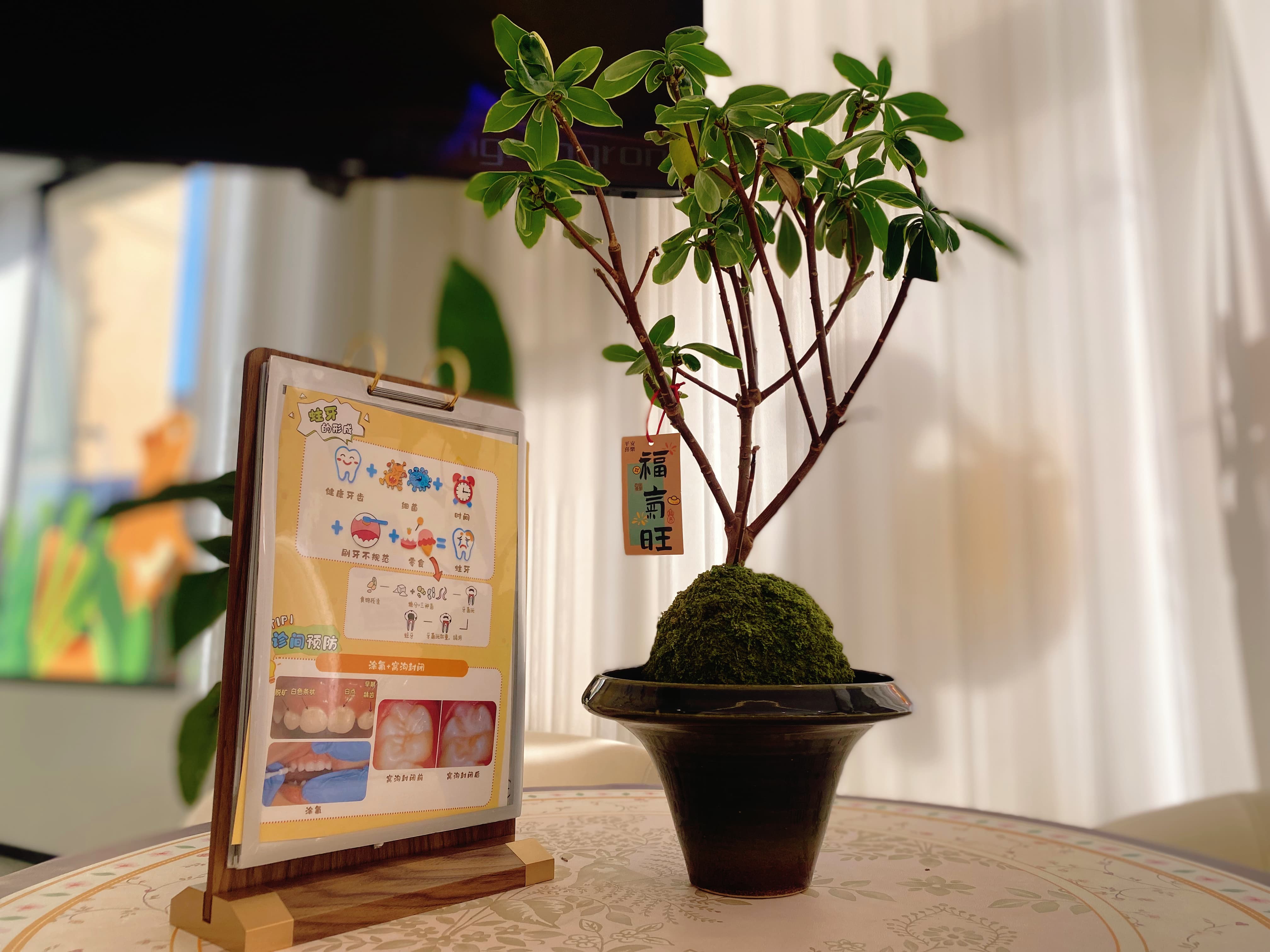 常熟牙槽骨萎缩还能种牙吗：从骨量评估到长期修复的完整路径